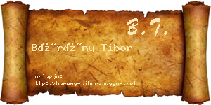 Bárány Tibor névjegykártya